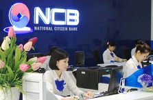 Phó chủ tịch NCB muốn gom gần 2 triệu cổ phiếu NVB