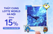 [MB x LOTTE WORLD] Giảm 15% dành cho chủ thẻ MB