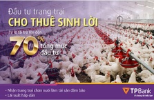 TPBank dành 1.000 tỷ đồng tài trợ xây dựng trang trại chăn nuôi để cho thuê