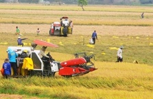 ACB tập trung hỗ trợ vốn cho nông nghiệp - nông thôn