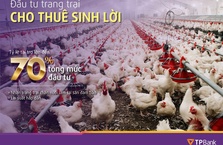 TPBank trợ lực nguồn vốn cho kinh tế trang trại chăn nuôi