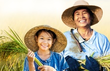 Nam A Bank ưu đãi lãi vay phát triển nông nghiệp
