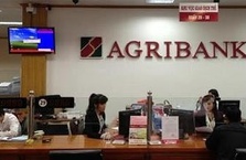 Agribank những tháng đầu năm 2019: Hoạt động kinh doanh tiếp tục tăng trưởng