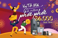 Vui Tết mới cả năm phơi phới