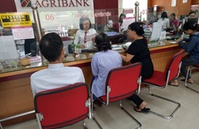 Agribank tăng khả năng tiếp cận vốn của khách hàng thông qua tổ vay vốn