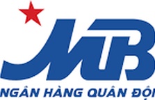 Chuyên Viên Quản Trị Dữ Liệu