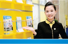 CHƯƠNG TRÌNH HỖ TRỢ CHO VAY PHÁT TRIỂN NÔNG NGHIỆP NÔNG THÔN