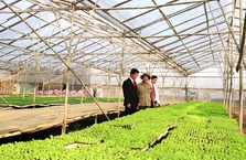 Agribank triển khai chương trình tín dụng ưu đãi phục vụ “Nông nghiệp sạch”