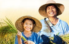 Nam A Bank ưu đãi lãi vay phát triển nông nghiệp