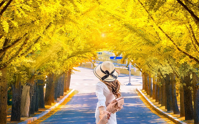 Vi vu xứ Hàn ngắm lá phong mùa thu này với thẻ tín dụng VIB